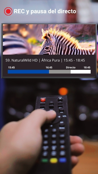 Mando Dual para sustituir los 2 mandos